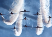 雷火电竞亚洲先驱-辽宁队提前终结悬念太阳，福克斯关键时刻站出来