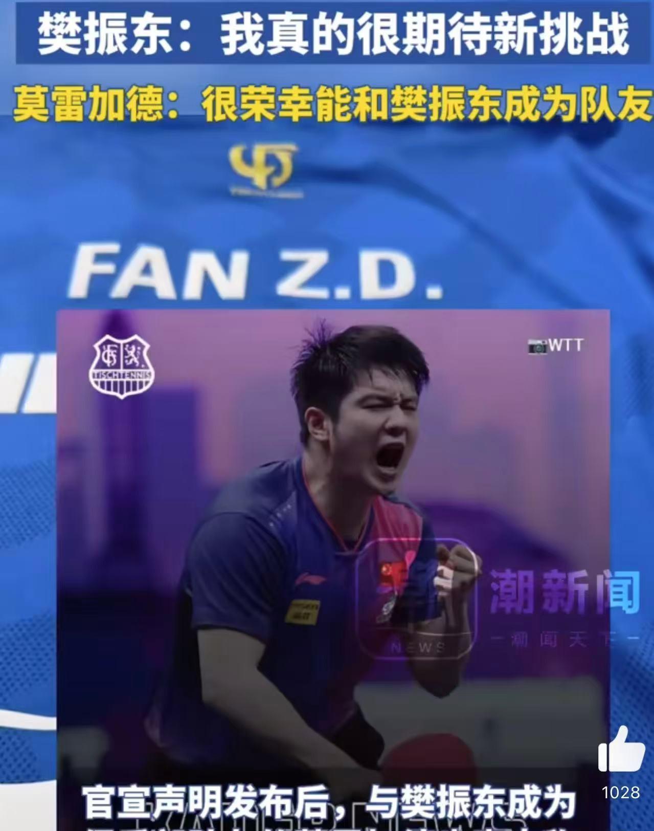 包含奥地利乒乓球队横扫德国乒乓球队,樊振东打破历史纪录的词条 包含奥地利乒乓球队横扫德国乒乓球队,樊振东打破历史纪录的词条